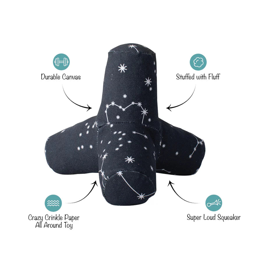 Game on Celestial 3D Canvas Dog Toy