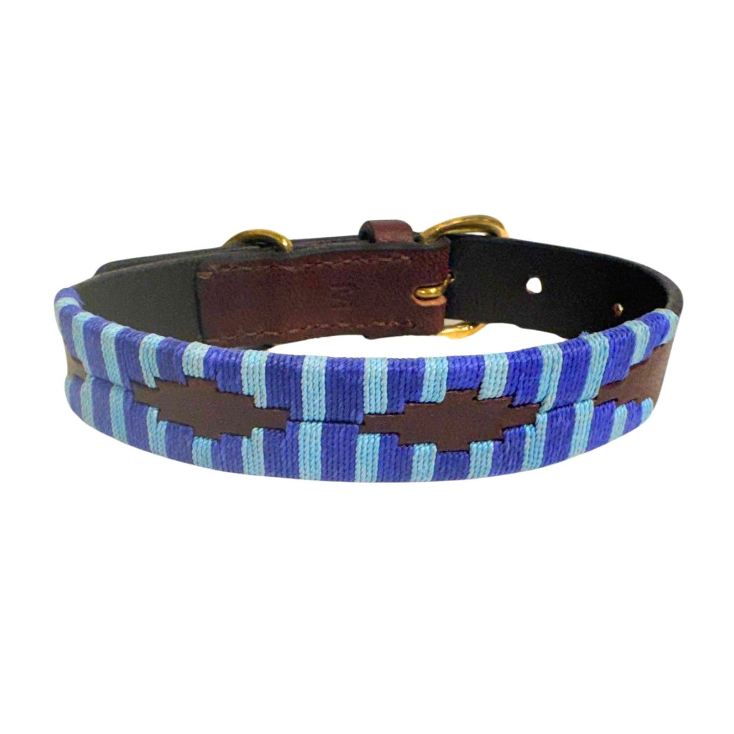 Polo Collar - Bluey