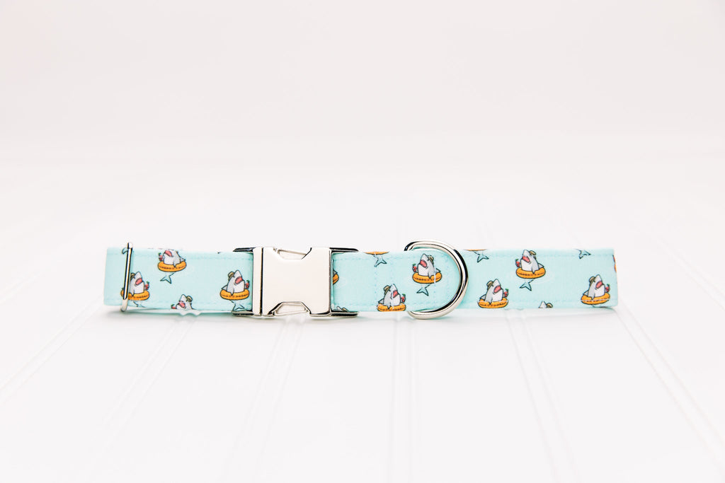 Sharks on Floaties Dog Collar