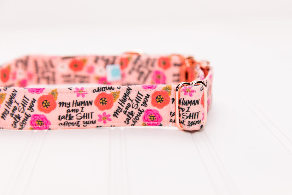 My Human and I Talk Shit About You Dog Collar