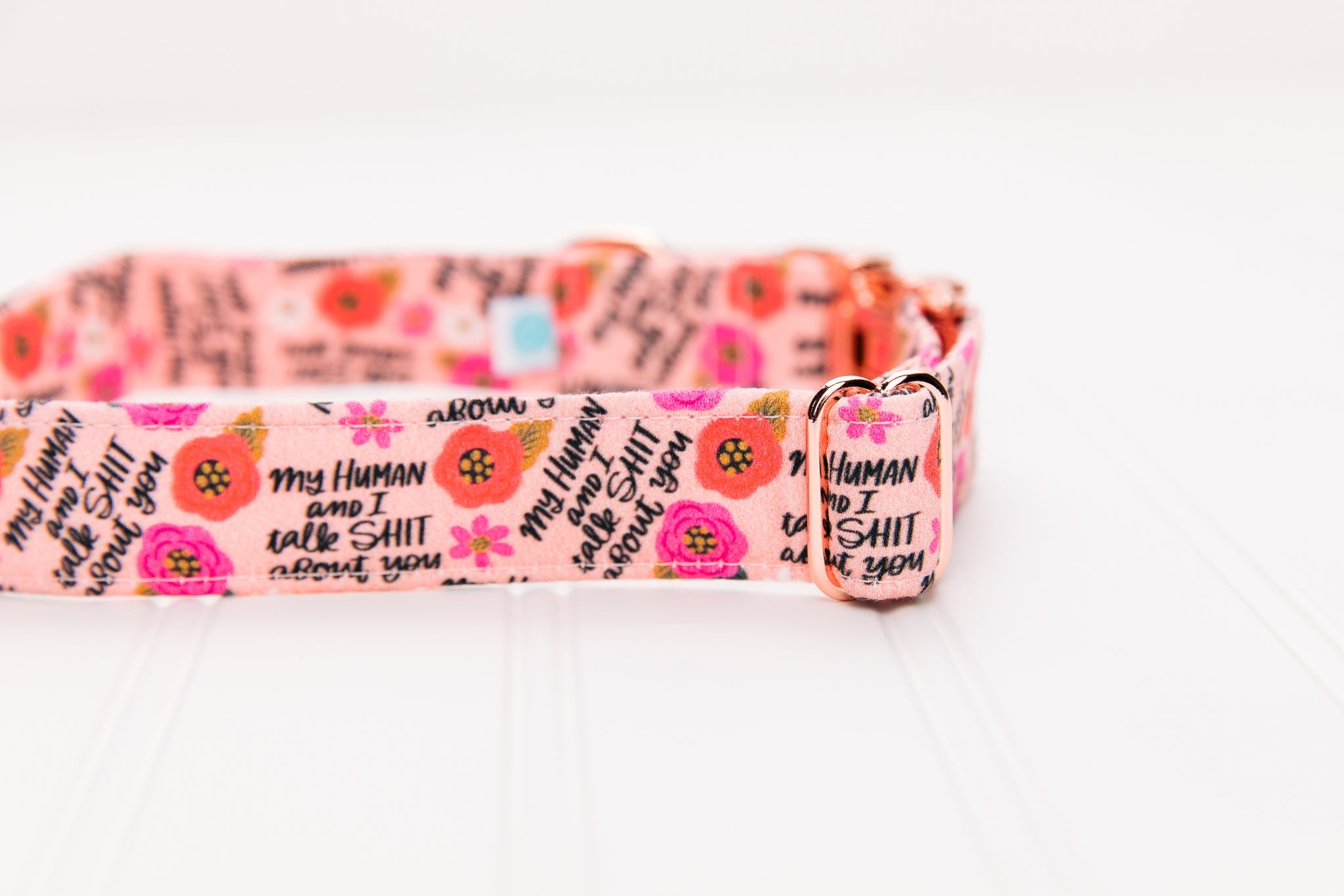 My Human and I Talk Shit About You Dog Collar