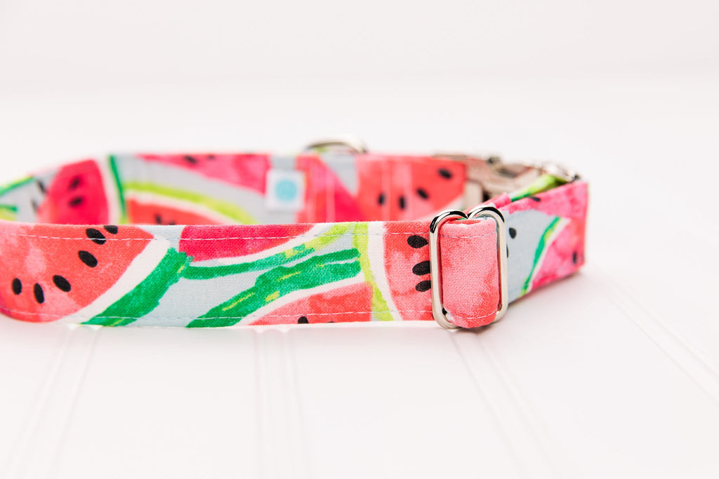 Watermelon Dog Collar