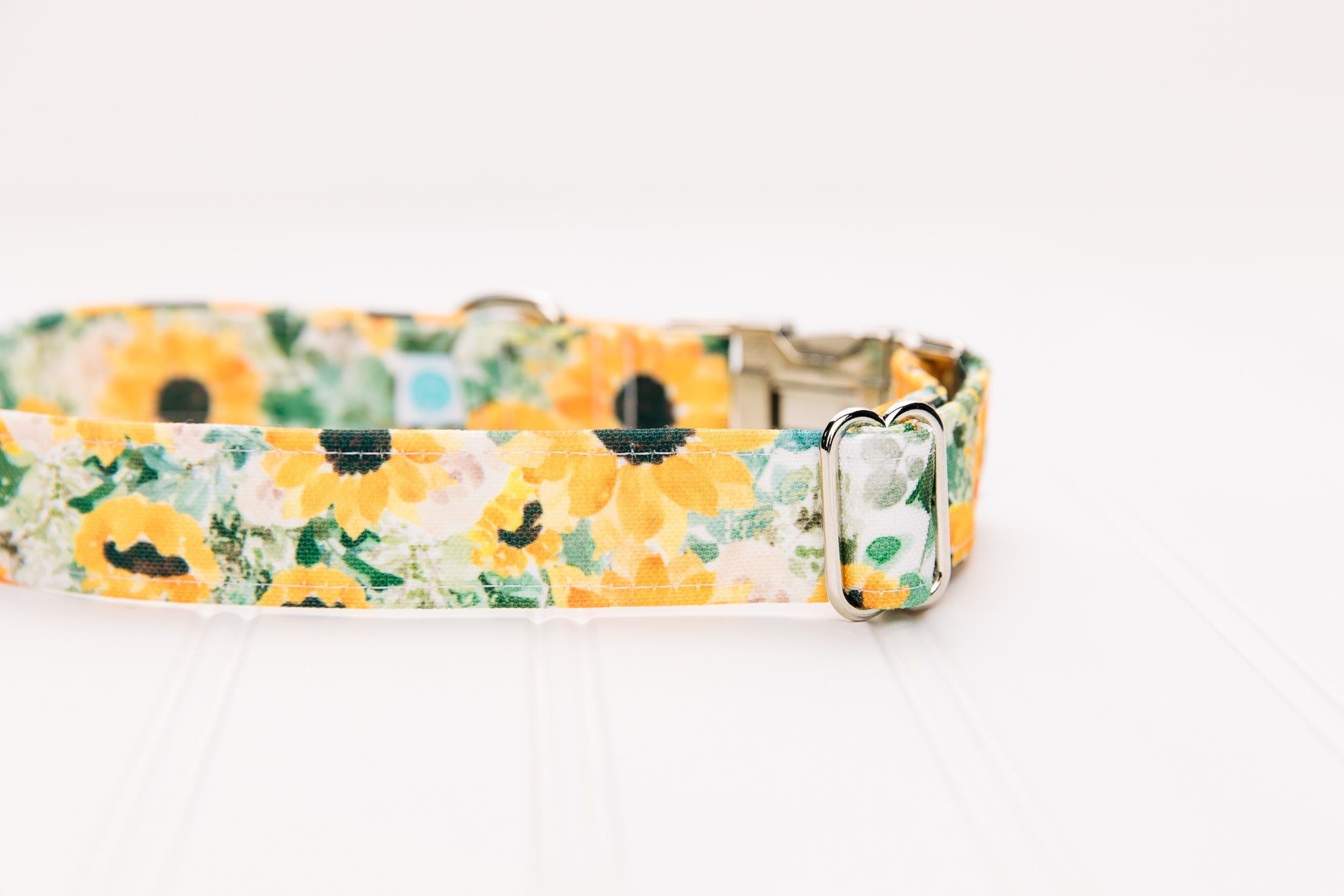 Sunflowers Water Resistant Dog Collar