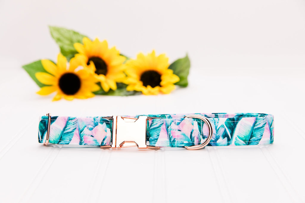 Tropical Banana Leaf Water Resistant Dog Collar