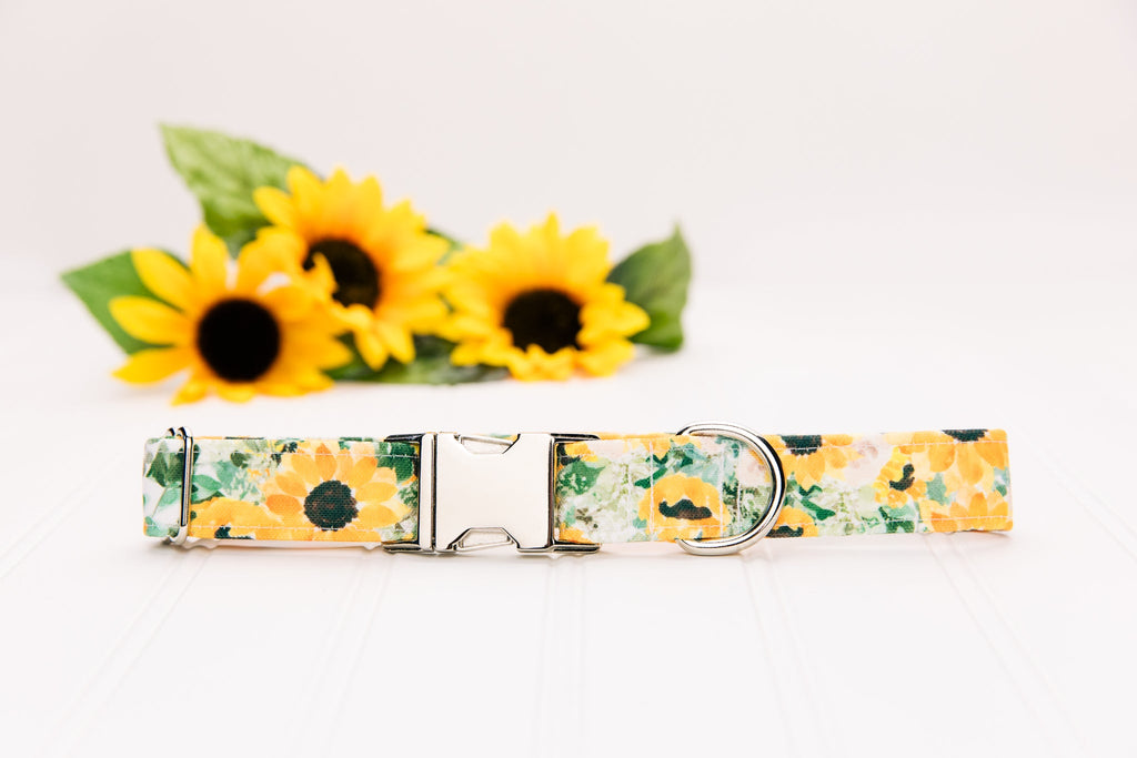 Sunflowers Water Resistant Dog Collar