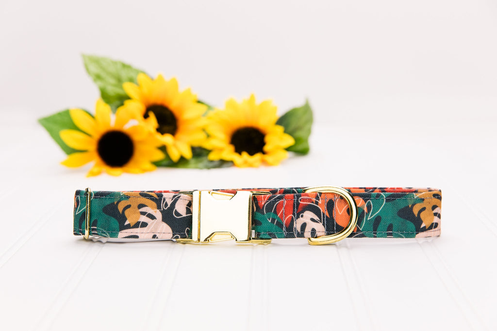 Neutral Monstera Leaves Water Resistant Dog Collar