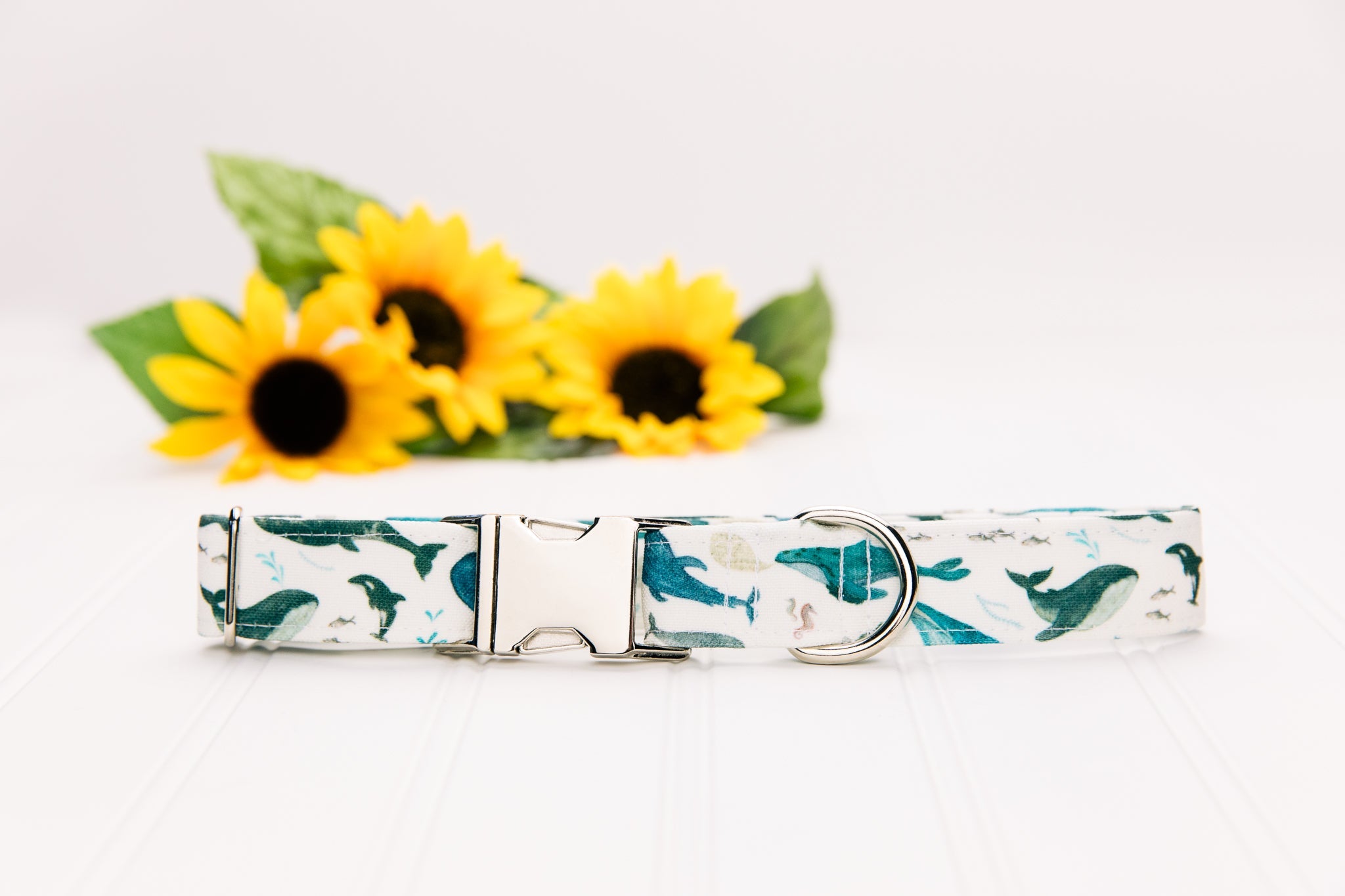 Watercolour Whales Water Resistant Dog Collar