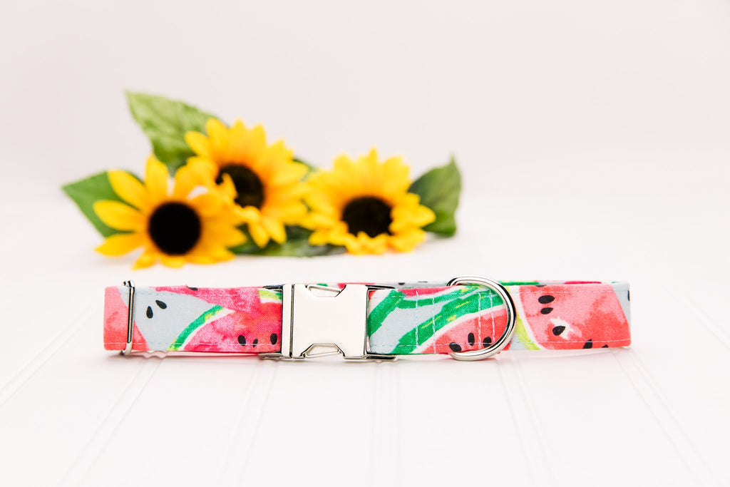Watermelon Dog Collar