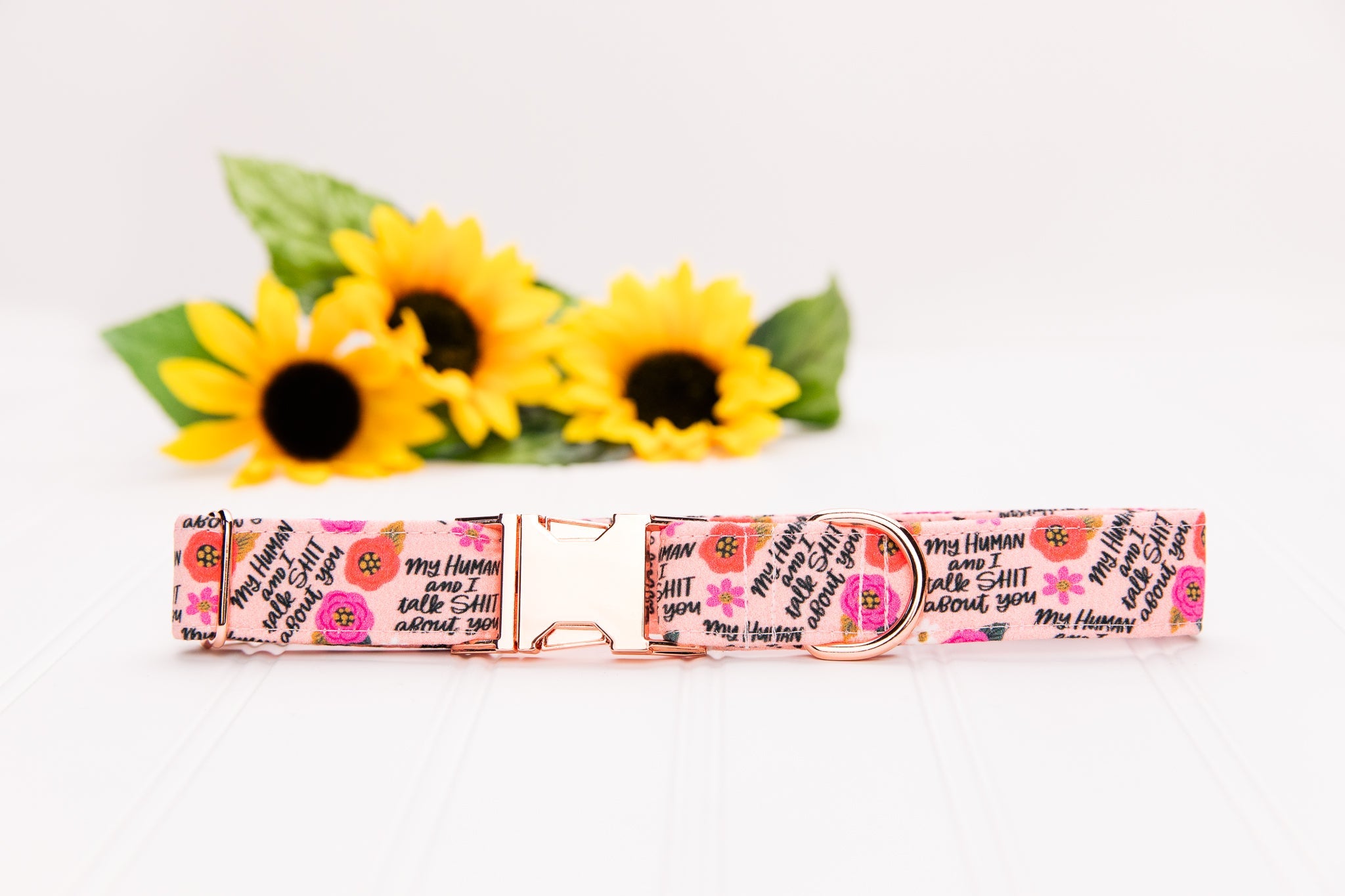 My Human and I Talk Shit About You Dog Collar