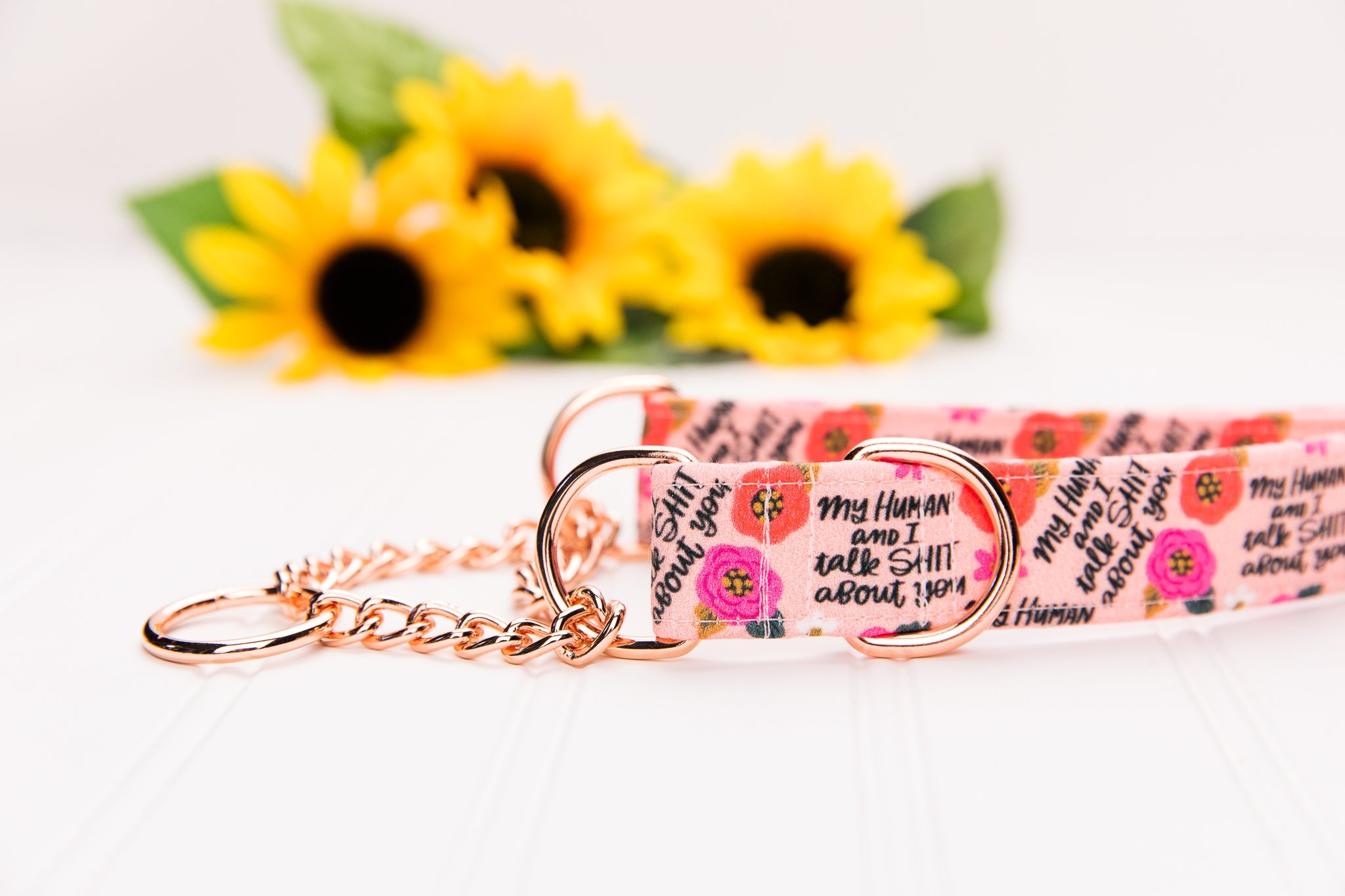 My Human and I Talk Shit About You Dog Collar