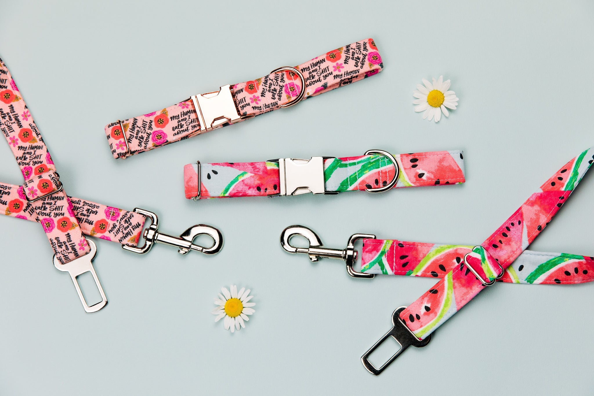 Watermelon Dog Collar
