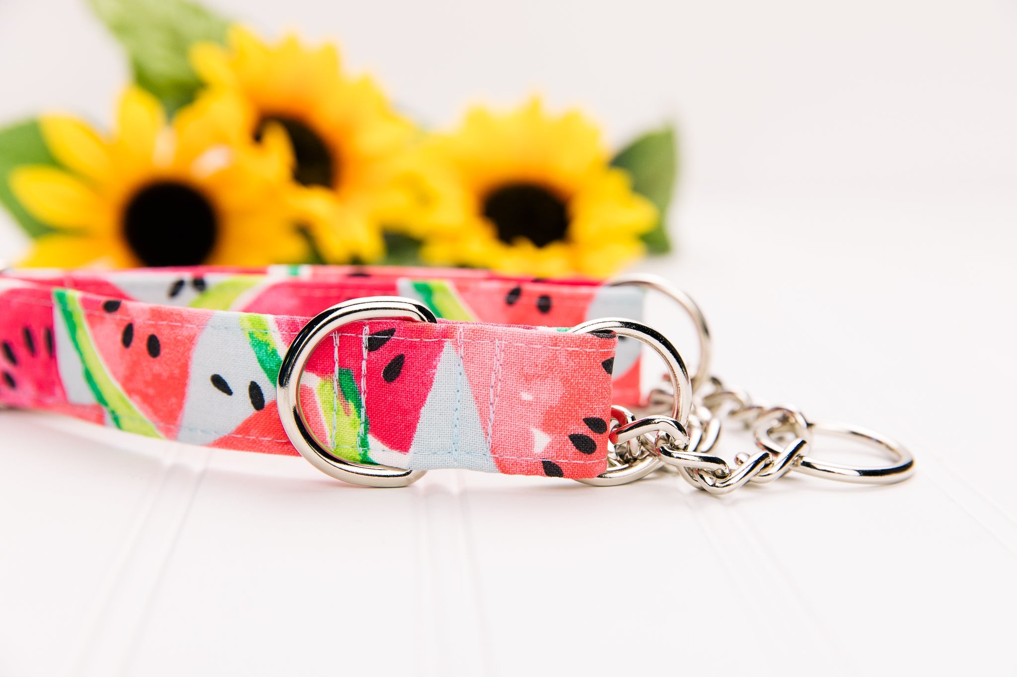 Watermelon Dog Collar
