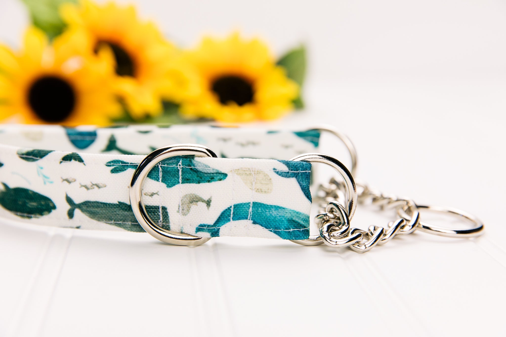 Watercolour Whales Water Resistant Dog Collar