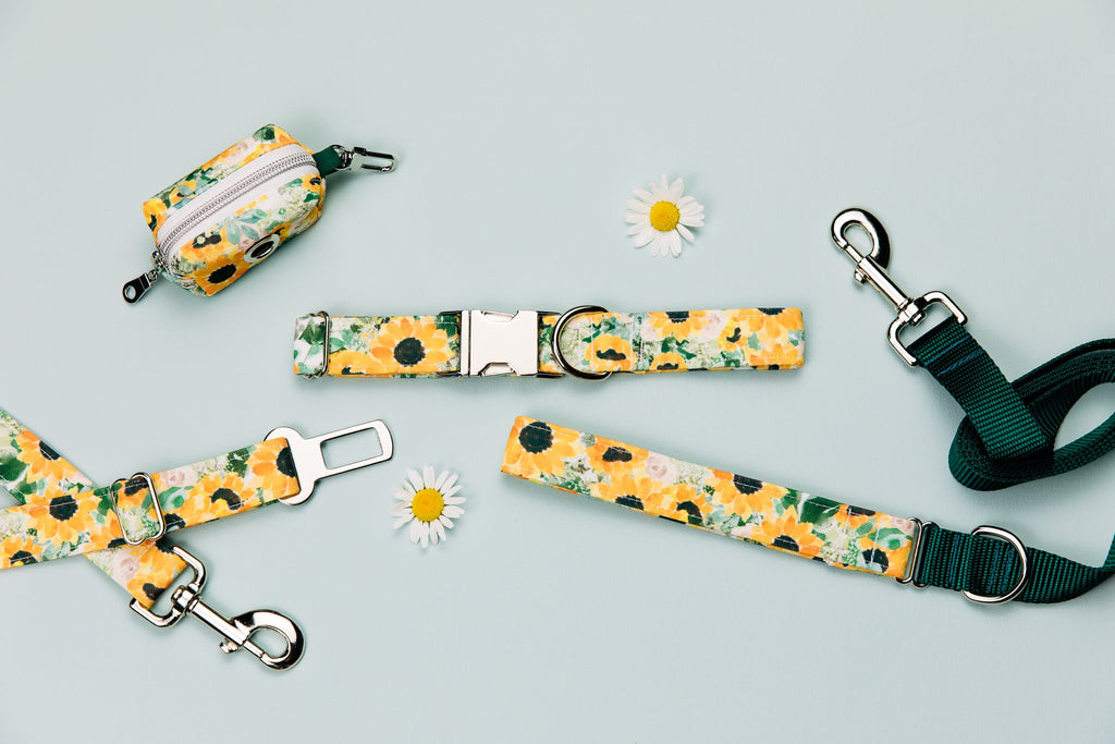 Sunflowers Matching Dog Leash