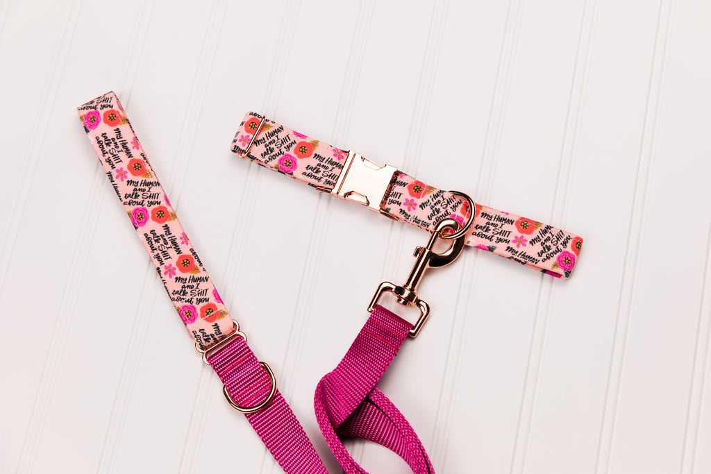 My Human and I Talk Shit About You Dog Collar