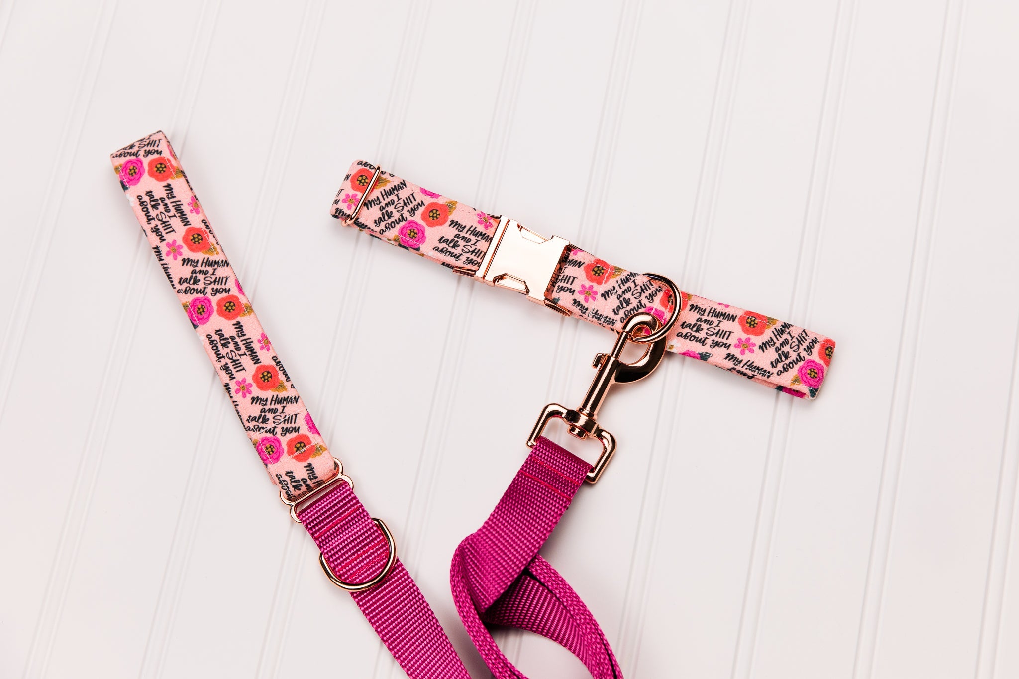 My Human and I Talk Shit About You Matching Dog Leash