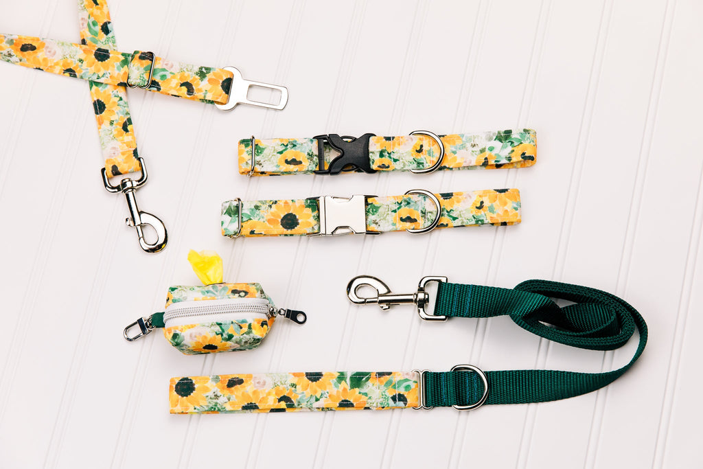 Sunflowers Water Resistant Dog Collar
