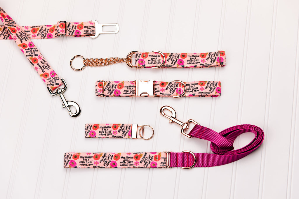 My Human and I Talk Shit About You Dog Collar