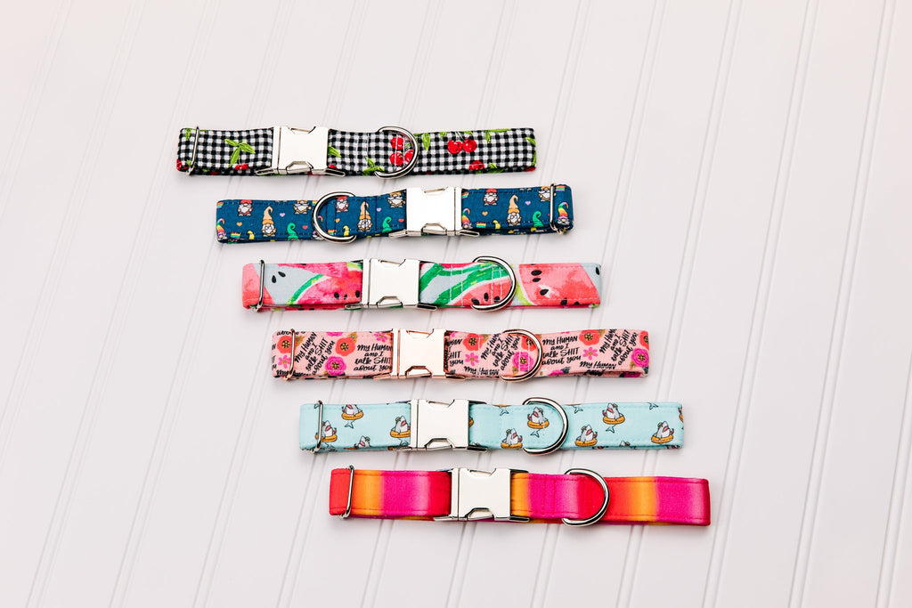 Watermelon Dog Collar