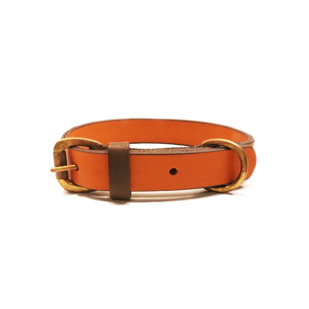 Cooper Collar Ochre