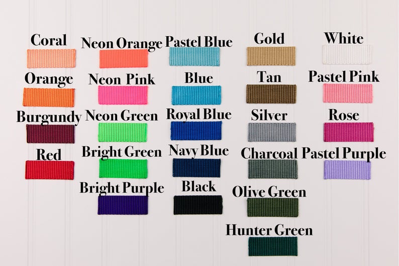 My Human and I Talk Shit About You Matching Dog Leash